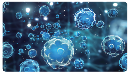 d8e6d2bb016e340d3ac2957c43d2530 d8e6d2bb016e340d3ac2957c43d2530