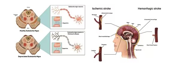 56420211517db82a0ea54bc9835c158 56420211517db82a0ea54bc9835c158