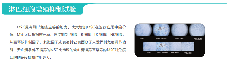 b8633b03a4e24ca82f7c39e45edb1f9